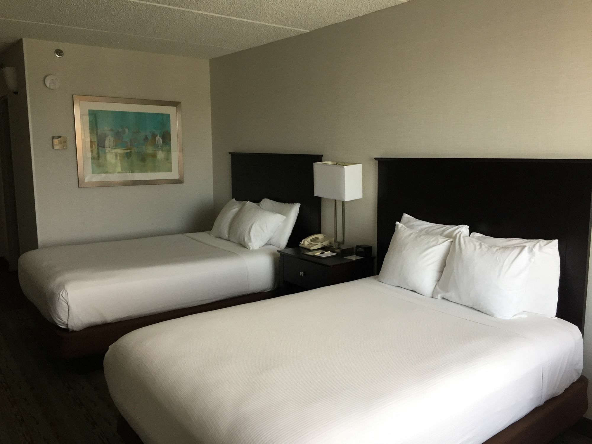 Doubletree By Hilton Bradley International Airport Hotel Windsor Locks Esterno foto